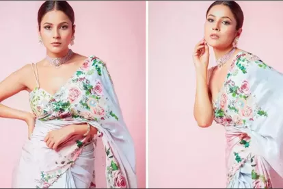 Shehnaaz Gill on marriage