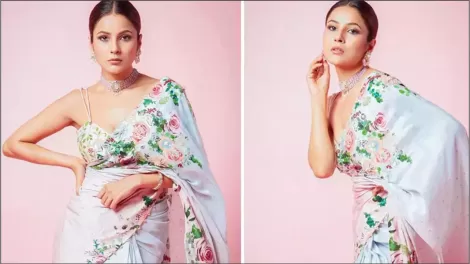 Shehnaaz Gill on marriage