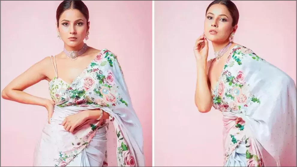 Shehnaaz Gill on marriage