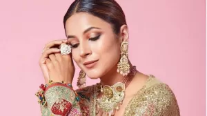 Shehnaaz Gill on marriage