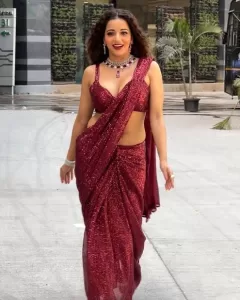 Monalisa Saree Look