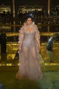 Priyanka-Nick Photos 2