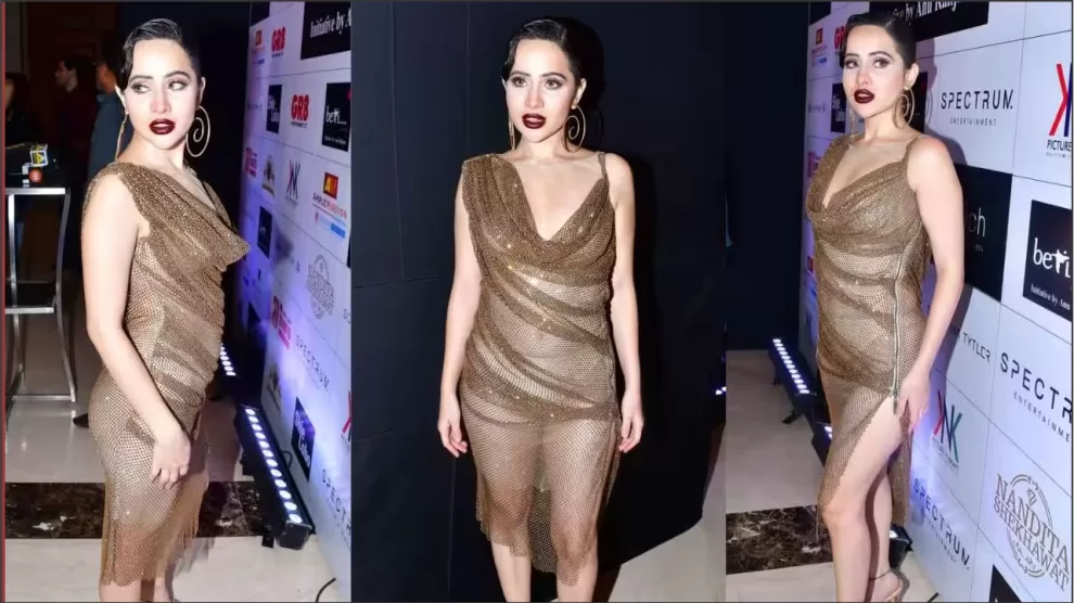Urfi Javed New Dress