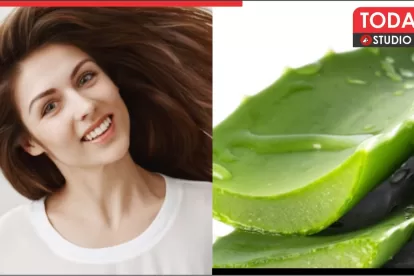 Aloe Vera Usage for Hair