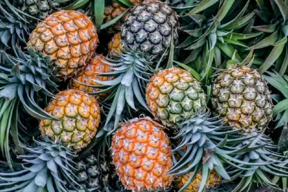 Benefits of Pineapple