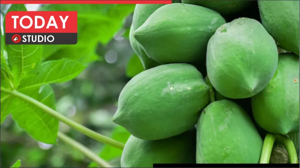 Raw Papaya Benefits
