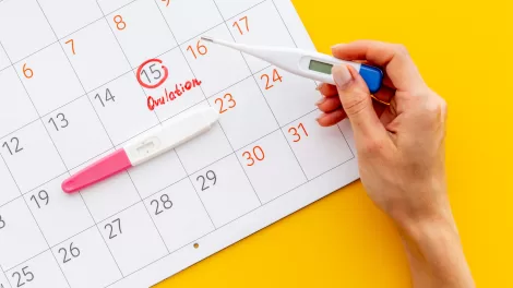 Menstrual cycle tracking