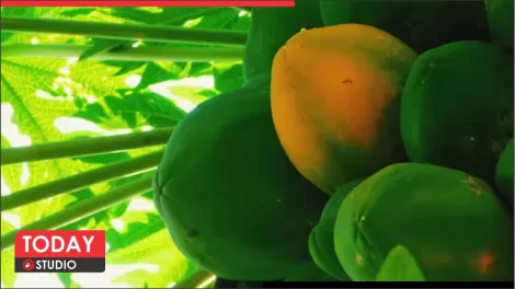 Benefits of Raw papaya