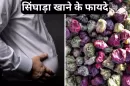 Water Chestnut Benefits